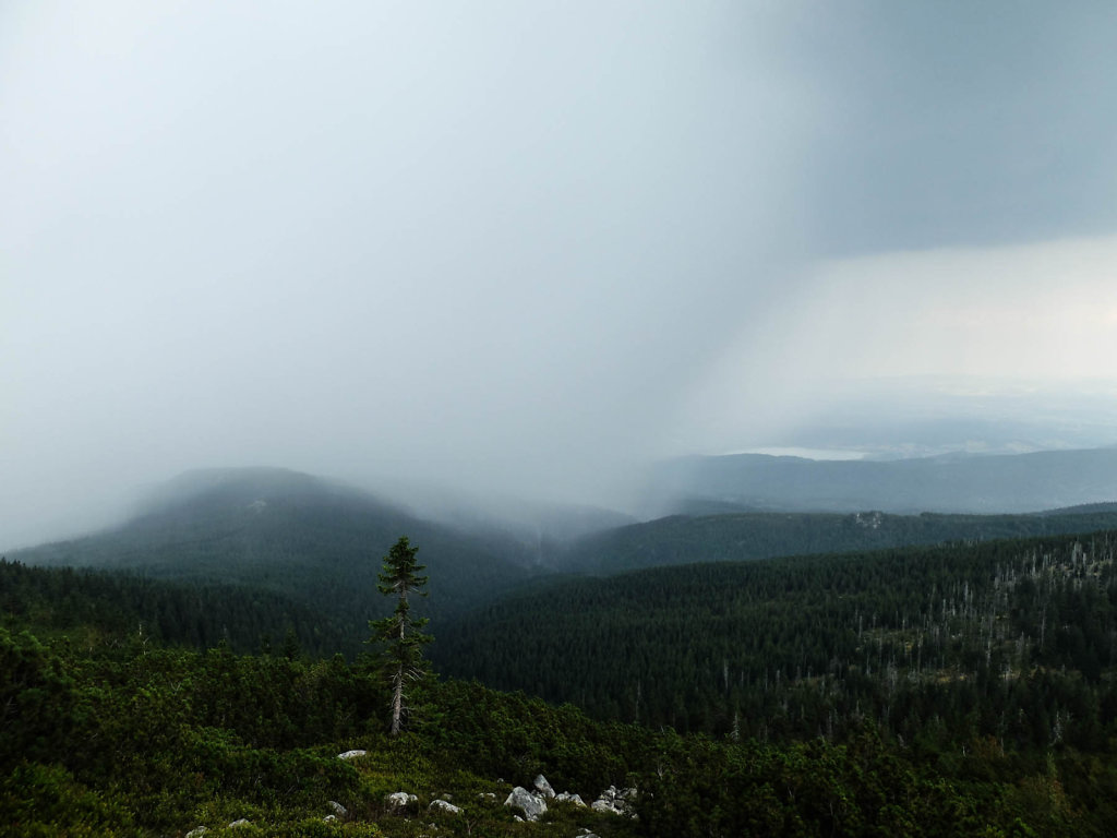 DSCF6438.jpg