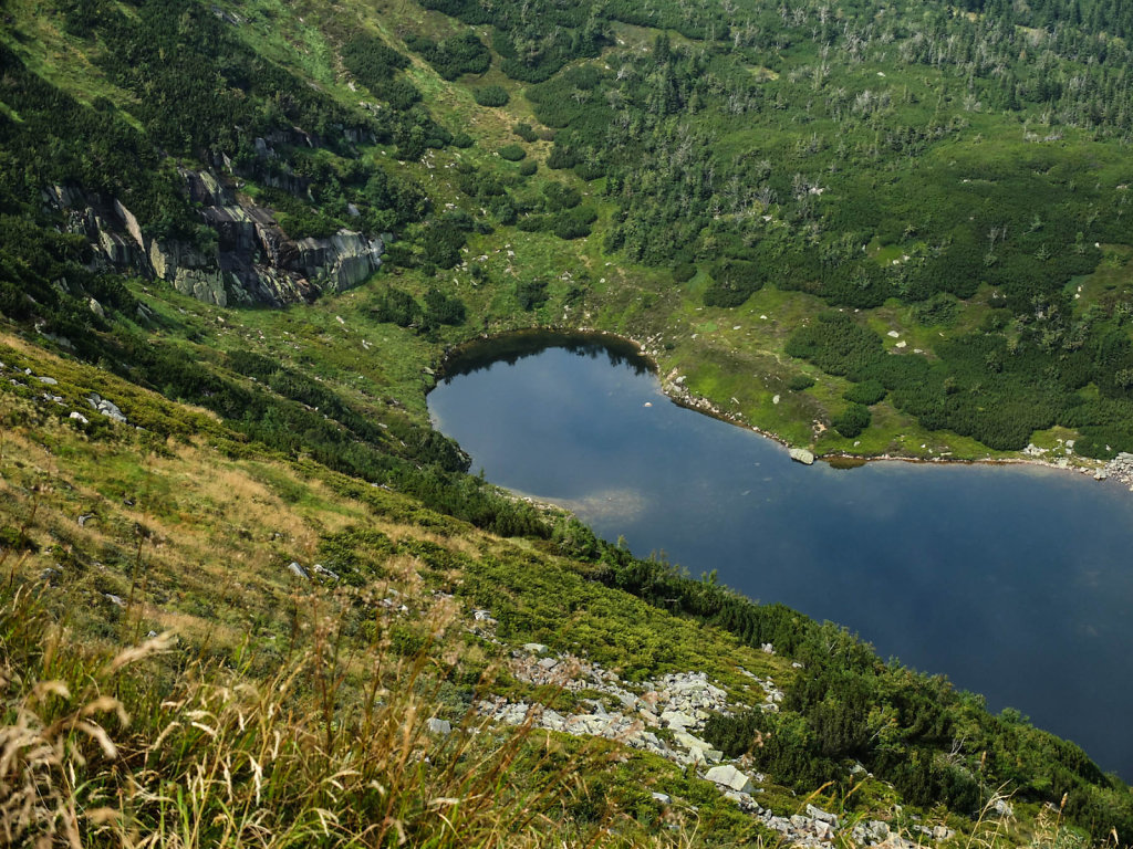 DSCF6443.jpg