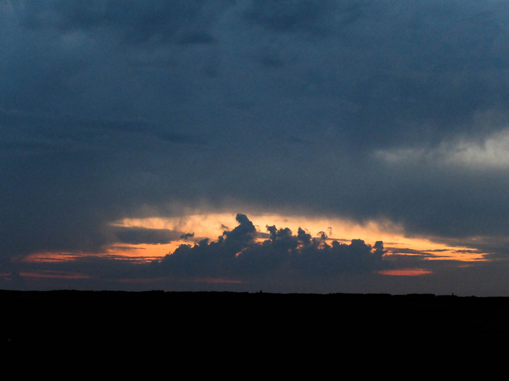 DSCF6466.jpg