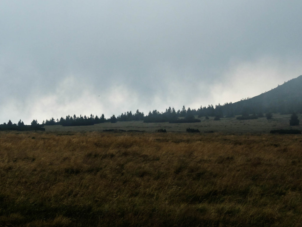 DSCF6476.jpg