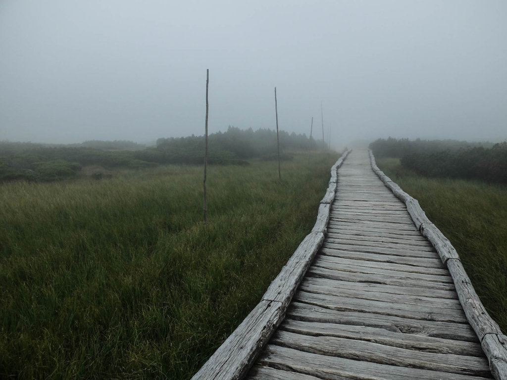 DSCF6480.jpg