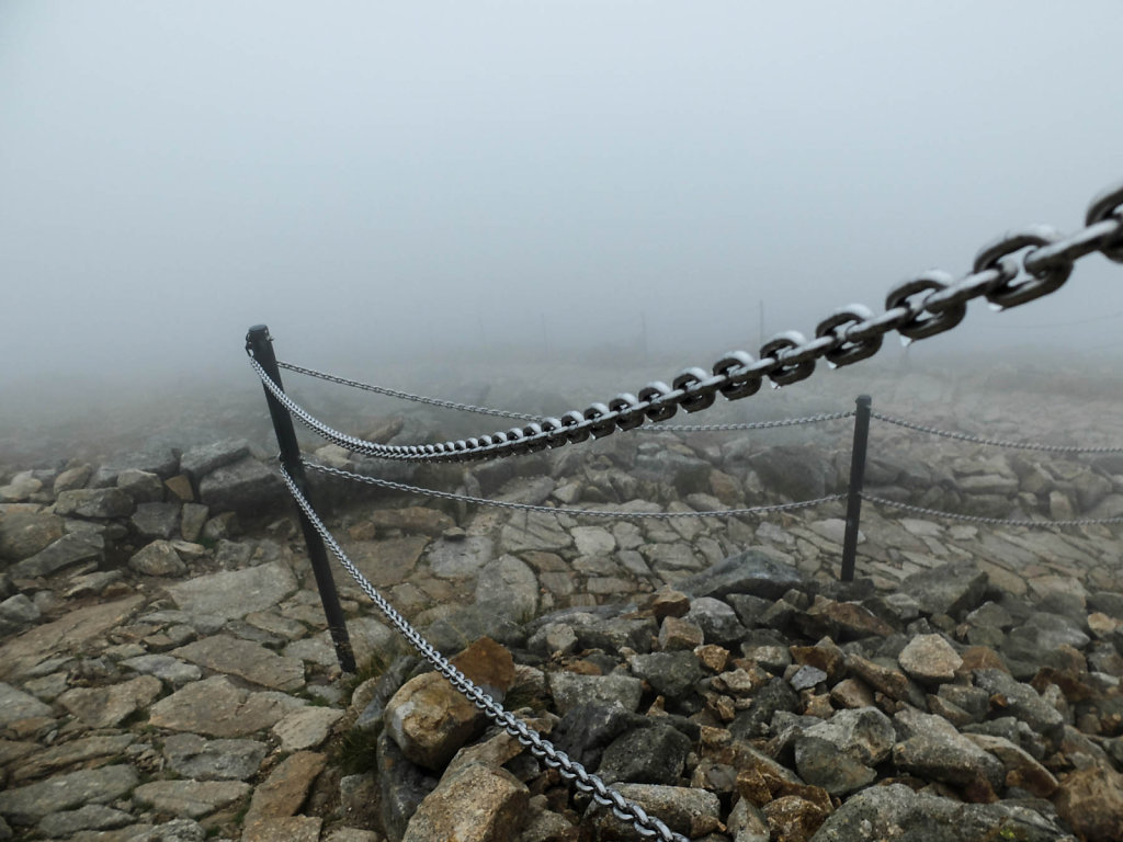 DSCF6485.jpg