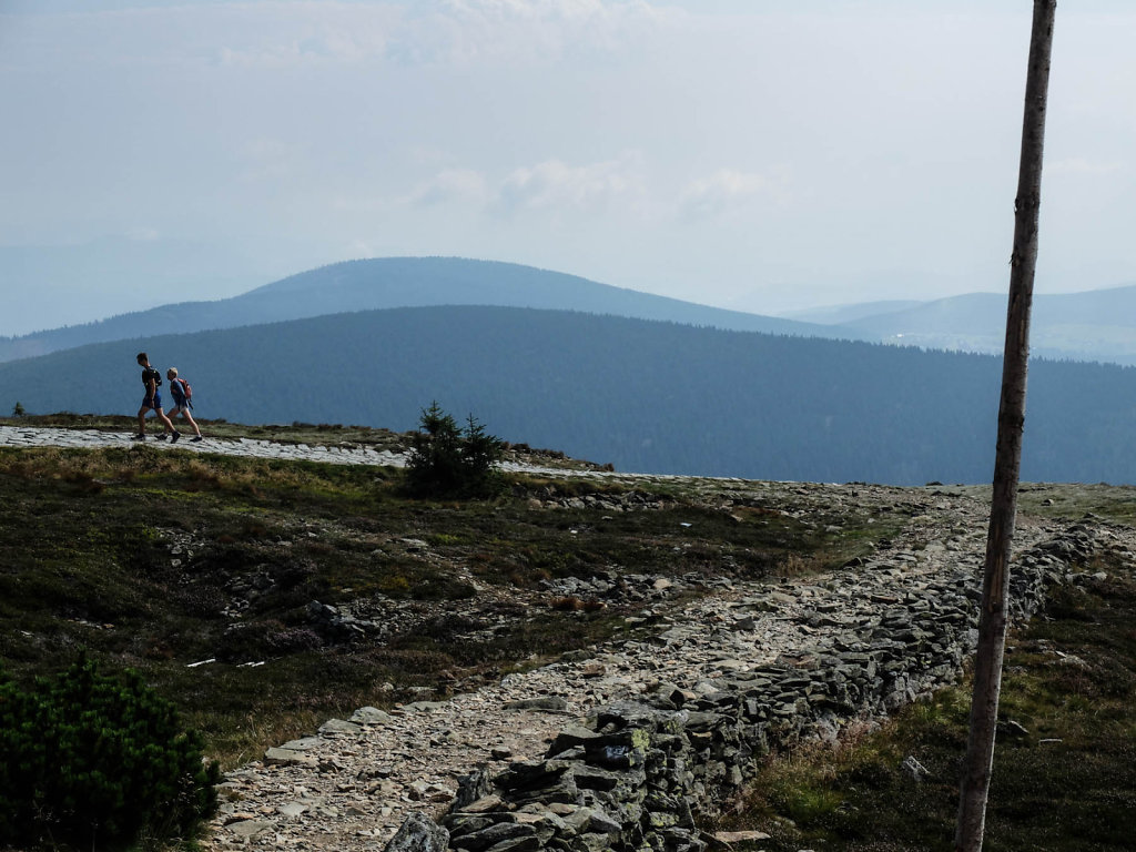 DSCF6504.jpg