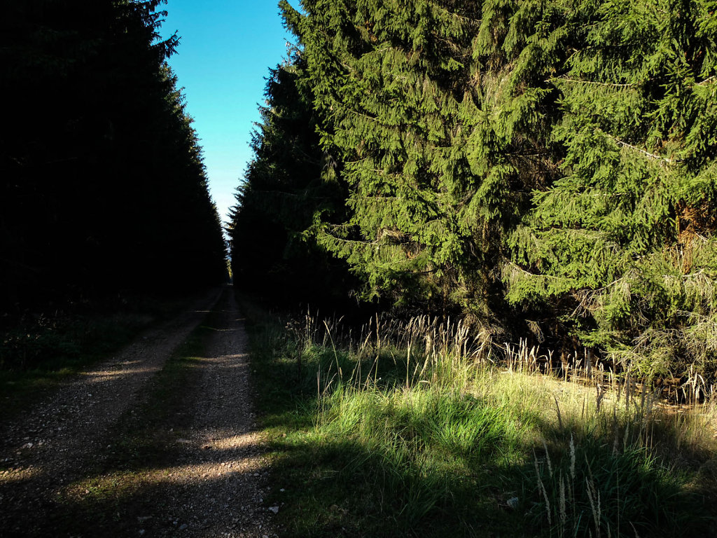 DSCF7190.jpg