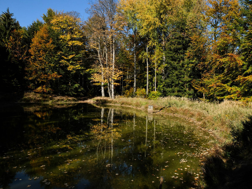 DSCF7213.jpg