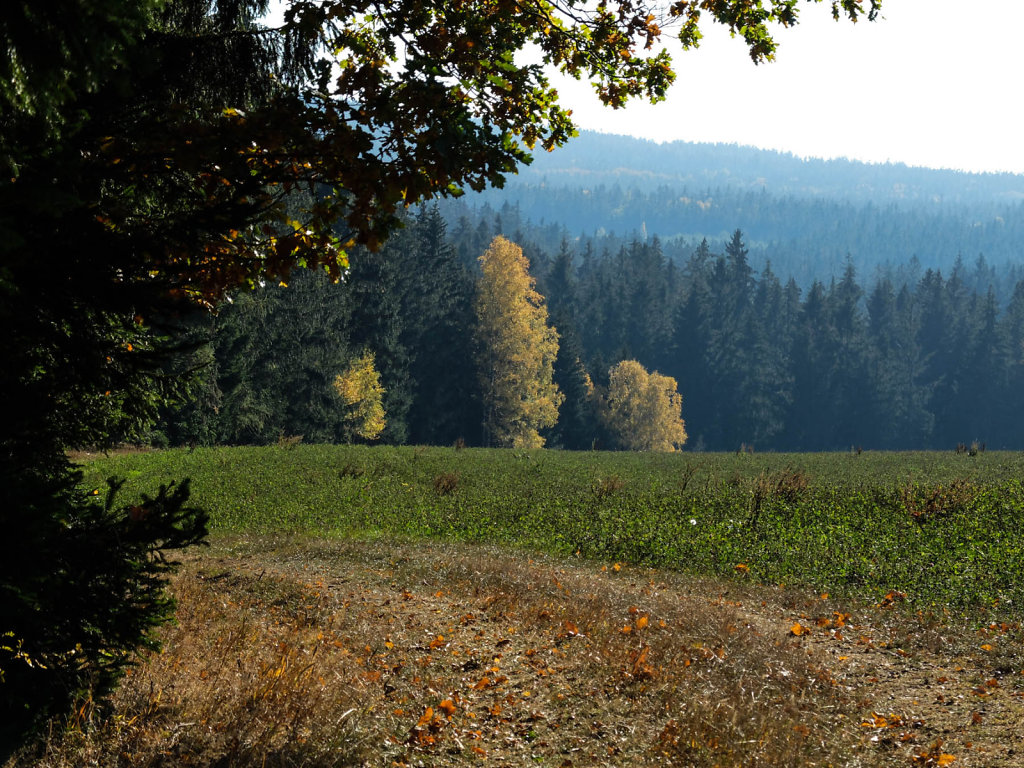 DSCF7225.jpg