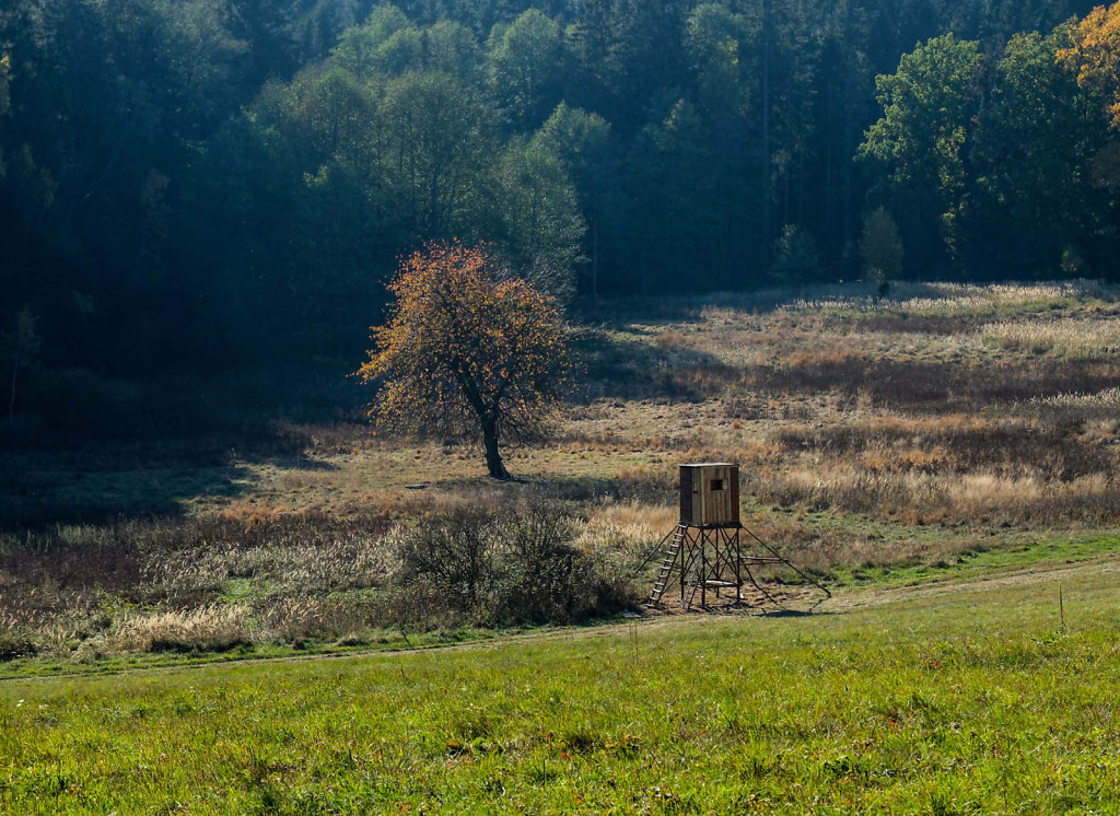 DSCF7226.jpg