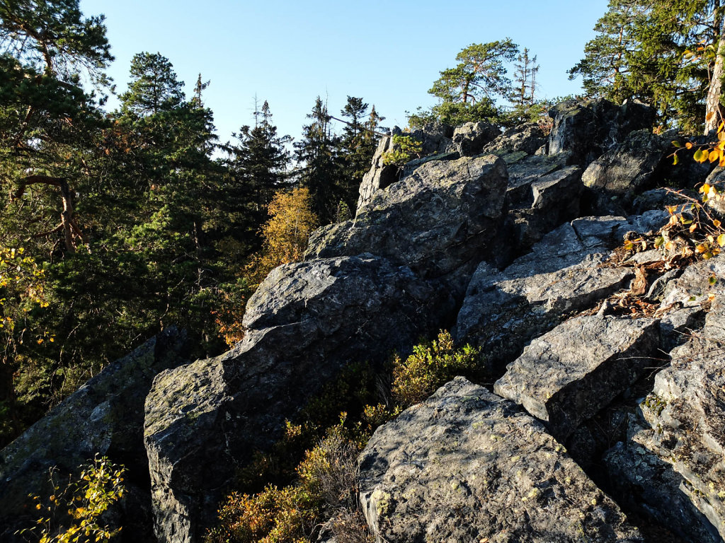 DSCF7240.jpg