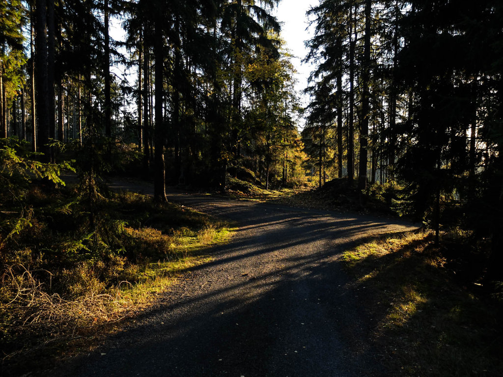 DSCF7241.jpg