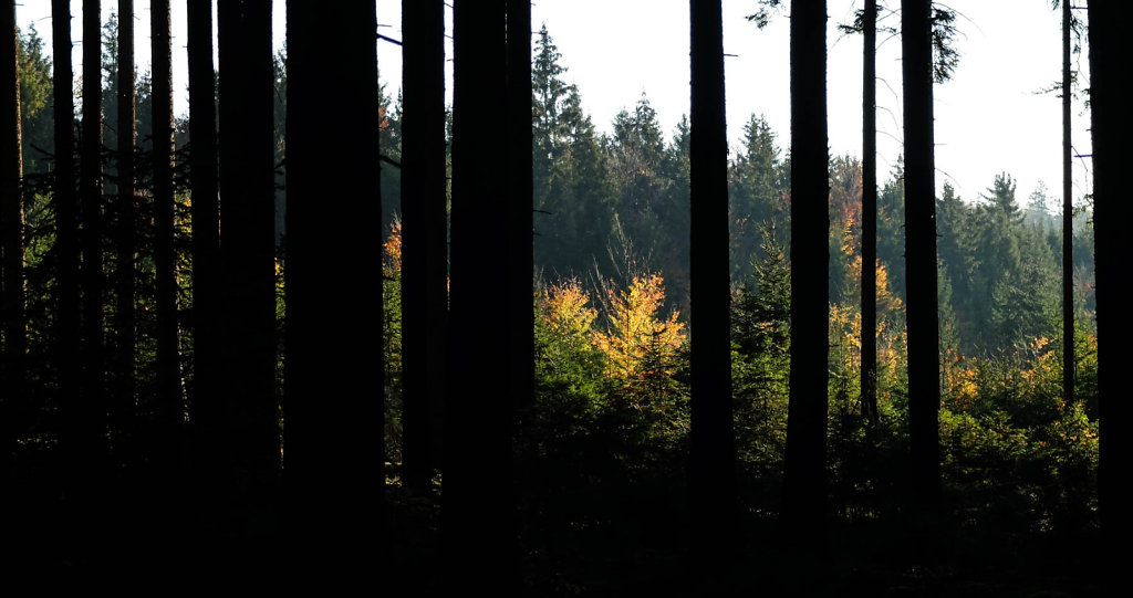 DSCF7253.jpg