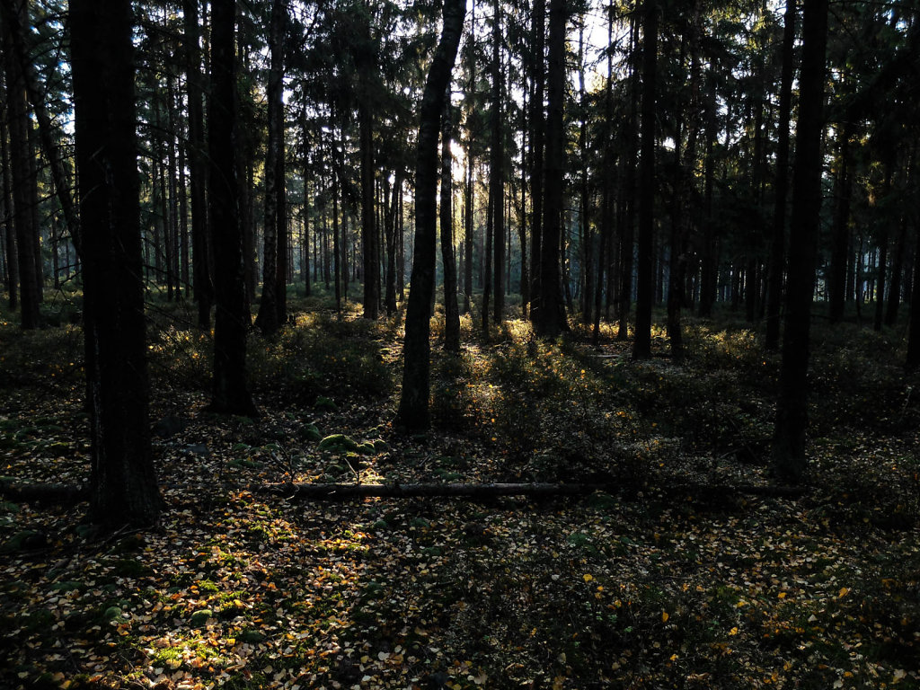 DSCF7251.jpg