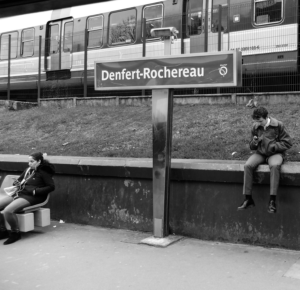 DSCF8511.jpg
