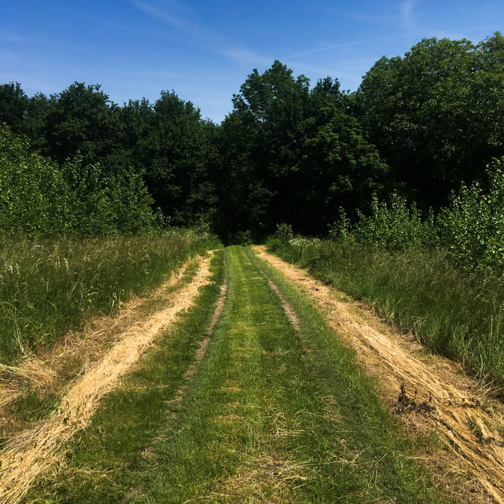 2019-06-09-135511-2.jpg