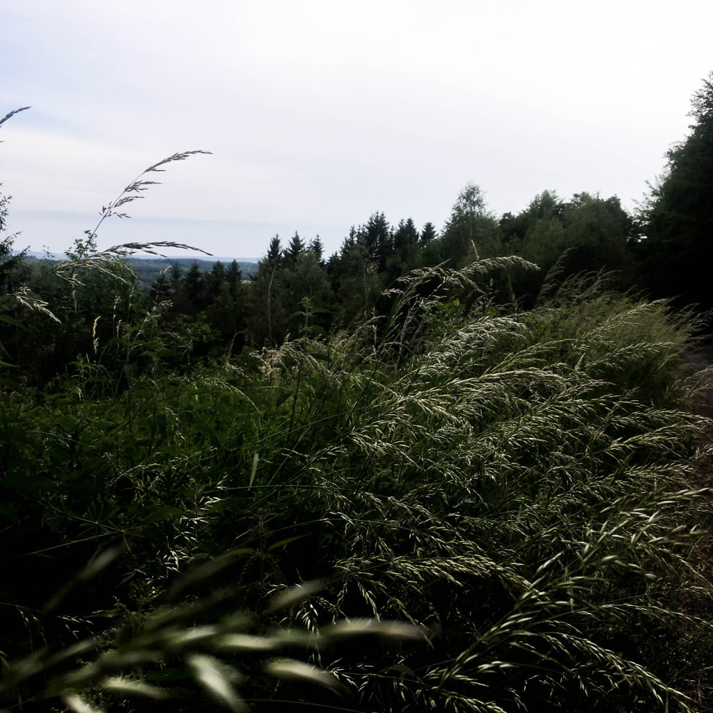 2019-06-09-183459.jpg