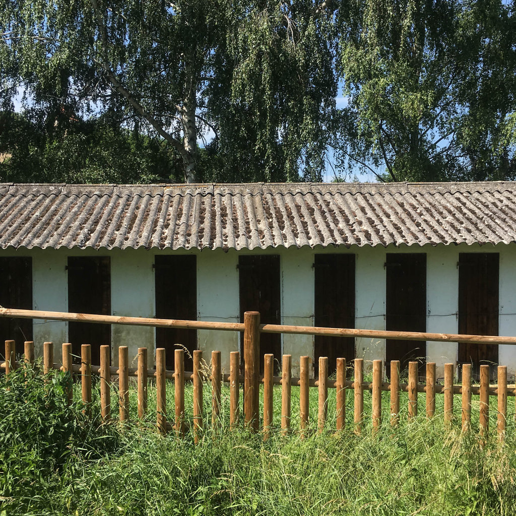 2019-06-09-153757.jpg