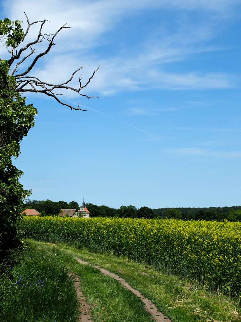 DSCF8755.jpg