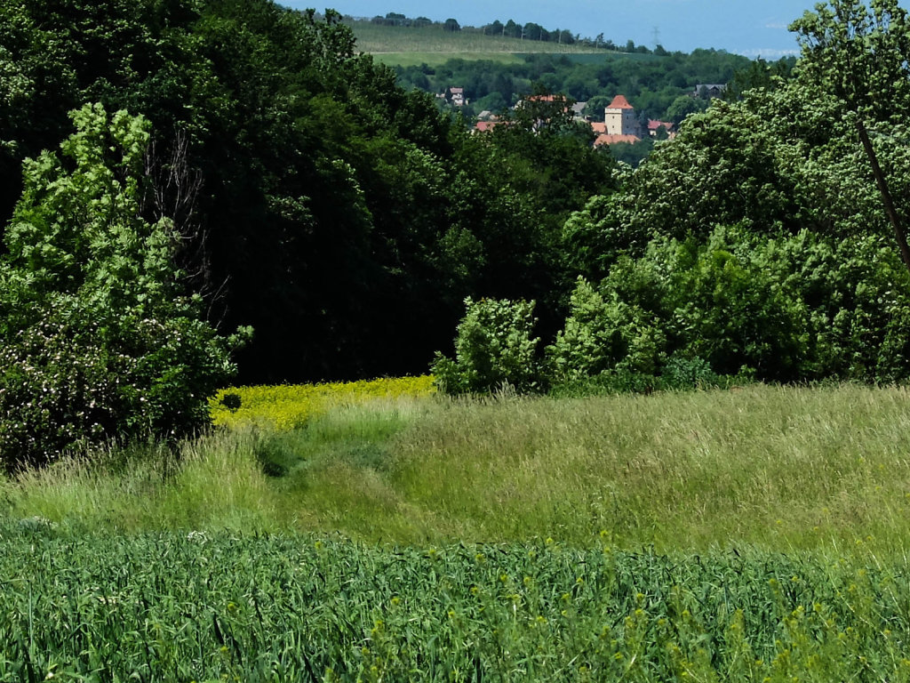 DSCF8764.jpg