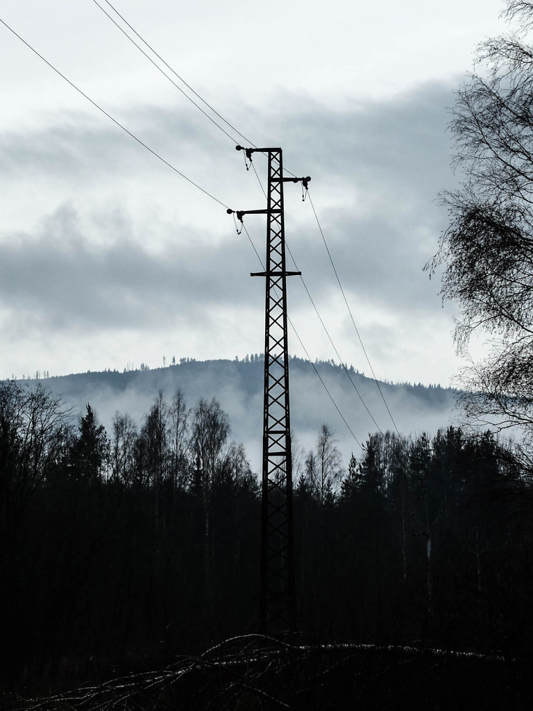 DSCF8936.jpg
