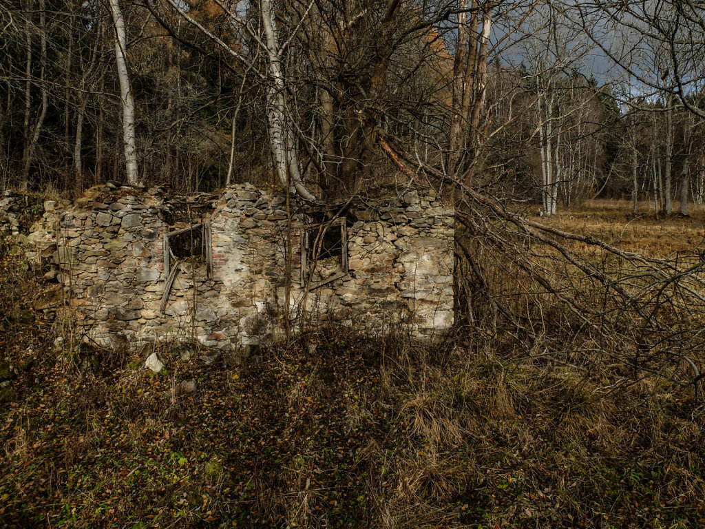 DSCF9173.jpg