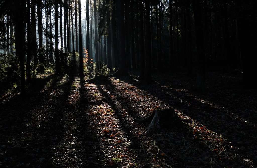 DSCF9284.jpg