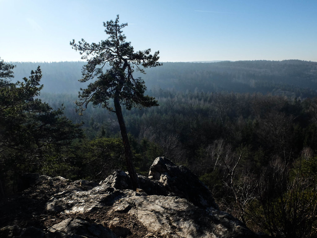 DSCF9335.jpg