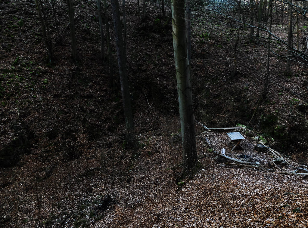 DSCF9356.jpg