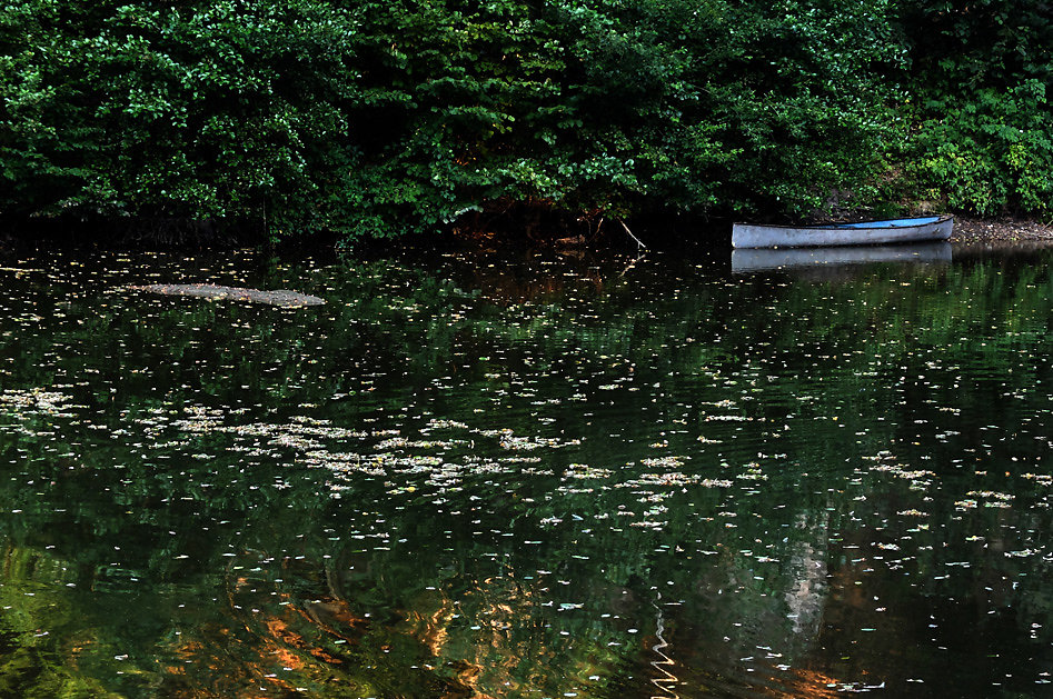 DSCF0624-2.jpg