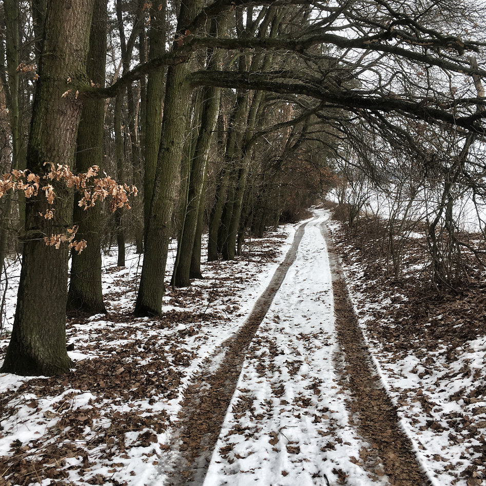 2017-02-09-140700-2.jpg
